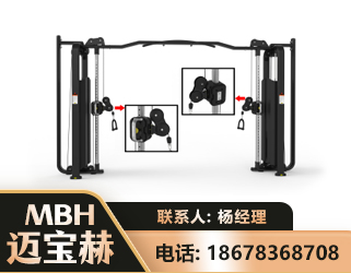 大理大飞鸟训练器