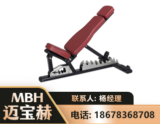 大理可调哑铃椅