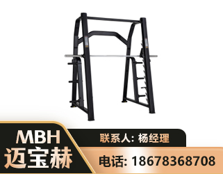 大理史密斯机